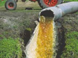chemical runoff