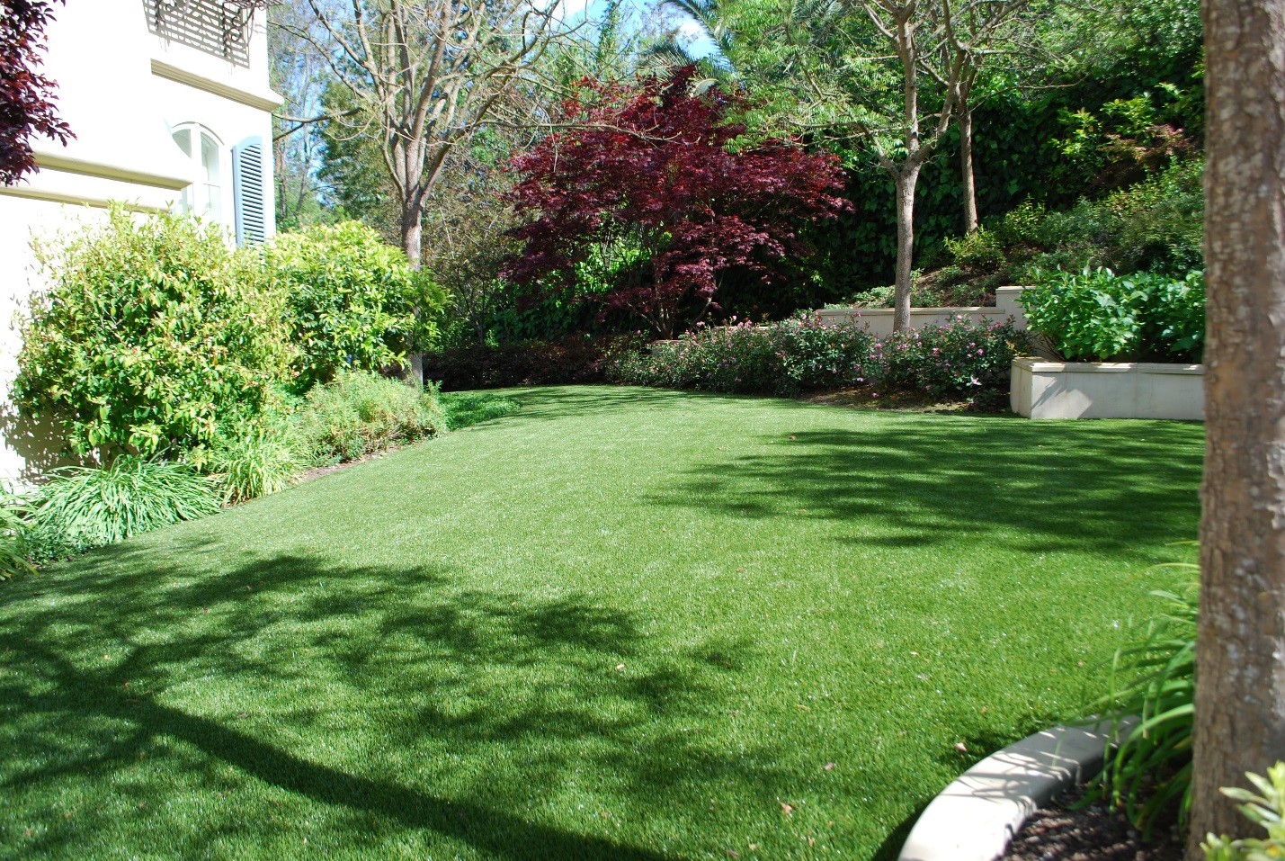 What's So Great About Artificial Turf? Low Maintenance & Eco-Friendly