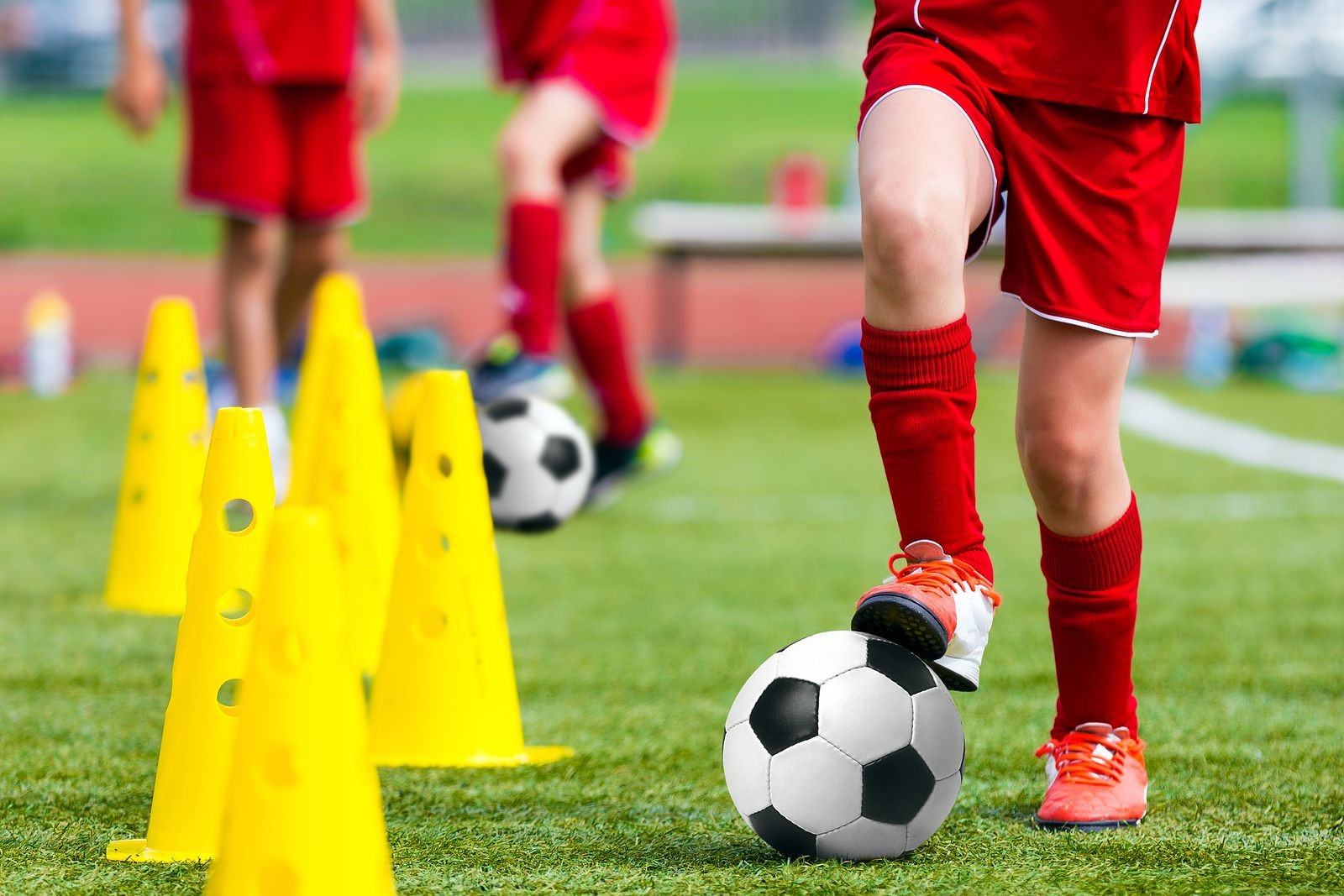 Reasons for Sports Centers to Switch and Invest to Synthetic Grass