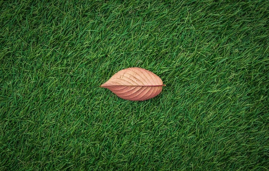 Homeowners Should Switch to the More Eco-Friendly Artificial Turf