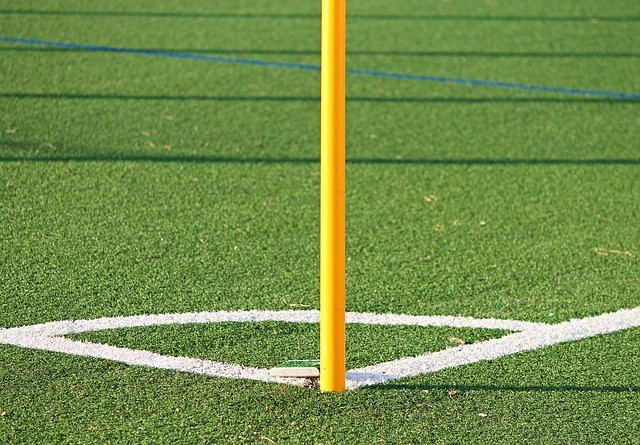 professionals to install your artificial turf