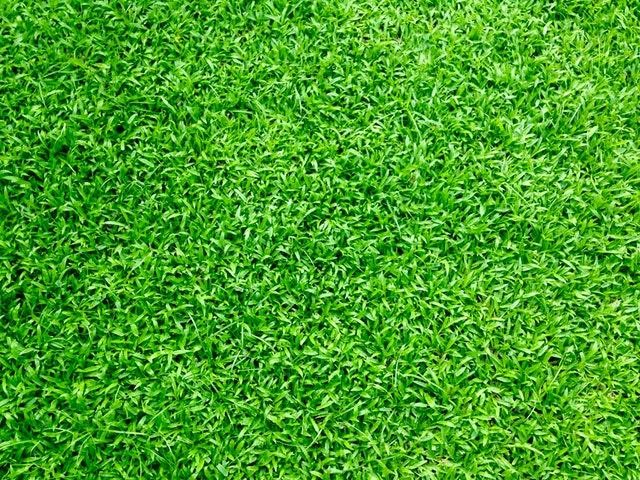 Understanding the Benefits of Artificial Grass