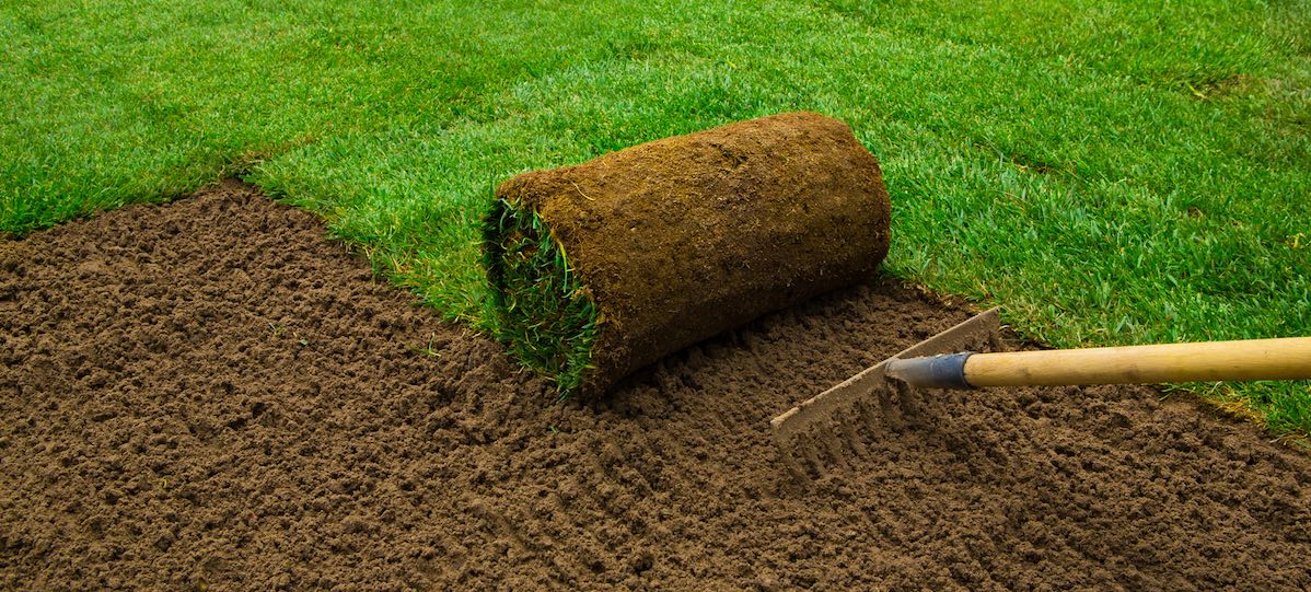 Natural Turf vs Artificial Grass for Sports Fields