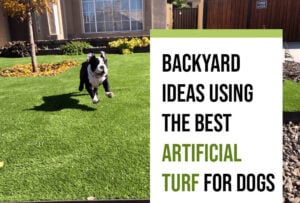 Backyard-Ideas-Using-the-Best-Artificial-Turf-for-Dogs-in-Phoenix-1000x675