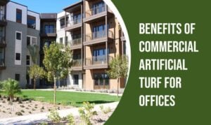 Benefits-of-Commercial-Artificial-Turf-in-Phoenix-AZ-for-Offices-980x584