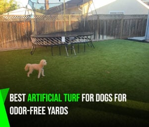 Best-Artificial-Turf-For-Dogs-for-Odor-Free-Yards-sunburst1