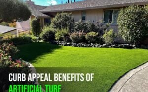 Curb Appeal