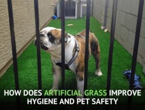 How-Does-Artificial-Grass-Improve-Hygiene-and-Pet-Safety-sunburst-2