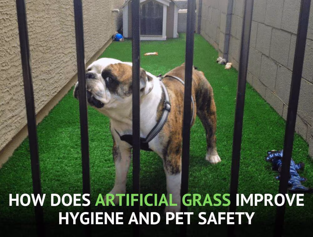 How-Does-Artificial-Grass-Improve-Hygiene-and-Pet-Safety-sunburst-2
