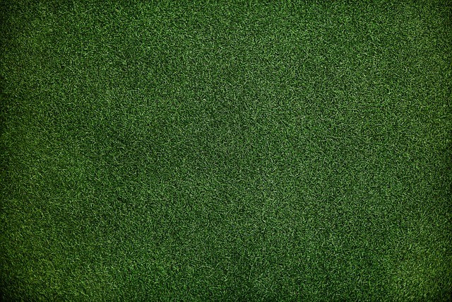 2_Raise-Your-Golf-Game-by-Installing-Artificial-Grass-in-Your-Backyard