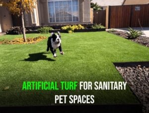 Artificial-Turf-Installation-in-Phoenix-AZ-for-Sanitary-Pet-Spaces-980x745