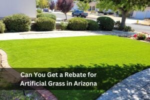 Can-You-Get-a-Rebate-for-Artificial-Grass-in-Arizona-sunburst-1