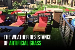 The-Weather-Resistance-of-Artificial-Gras-sunburst-1