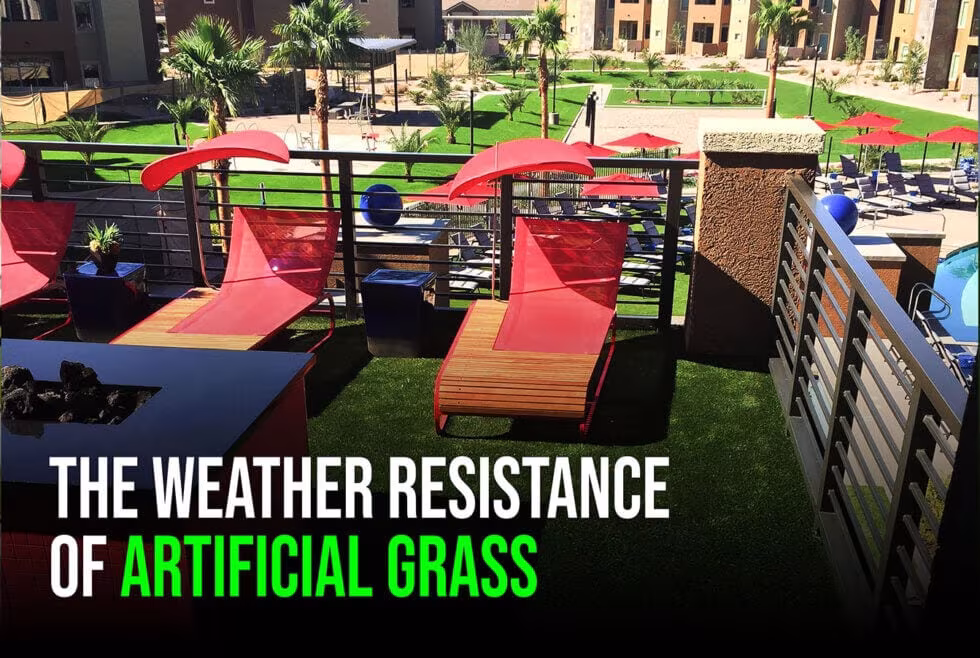 The-Weather-Resistance-of-Artificial-Gras-sunburst-1