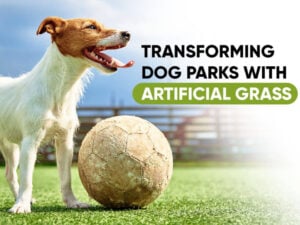 Transforming-Dog-Parks-with-Artificial-Grass-Sunburst