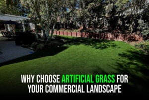 Why-Choose-Artificial-Grass-for-Your-Commercial-Landscape-sunburst