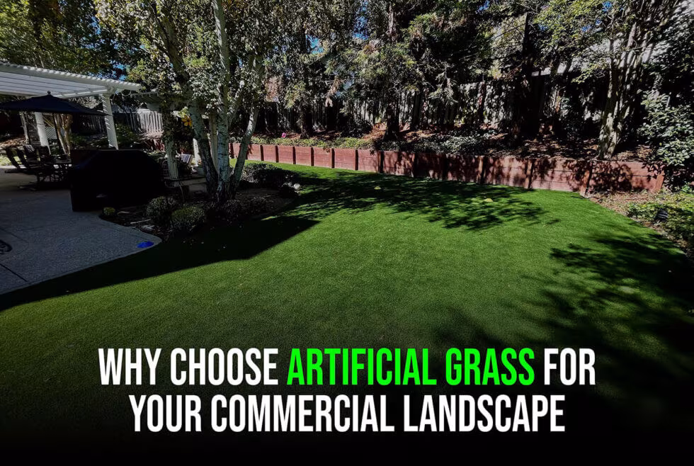 Why-Choose-Artificial-Grass-for-Your-Commercial-Landscape-sunburst