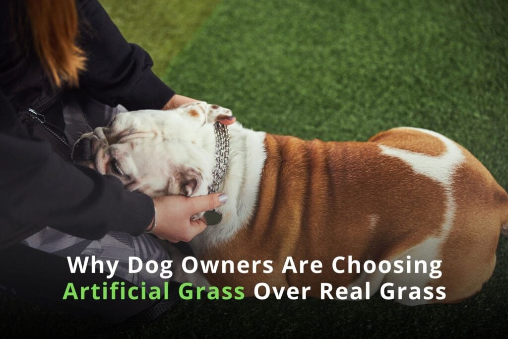 Why Dog Owners Are Choosing Artificial Over Real Grass - sunburst landscaping 1