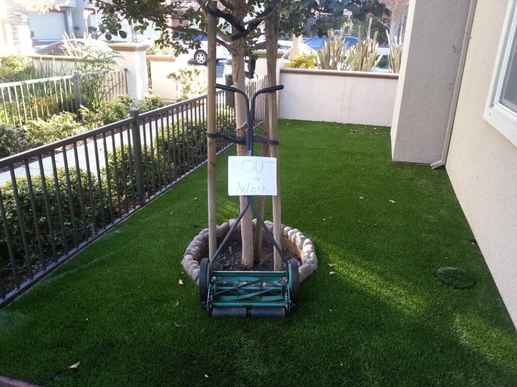 How You Can Benefit From Quality Synthetic Grass for Residential Use