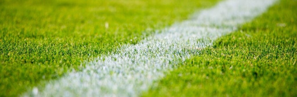 types-of-turf-2