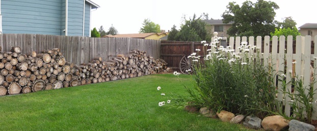 Switching to Artificial Turf in Phoenix Can Cut Down Water Consumption