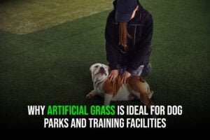 Why Artificial Grass is Ideal for Dog Parks and Training Facilities - Sunburst 2