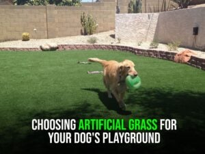 Choosing Artificial Grass for Your Dog's Playground- sunburst 1