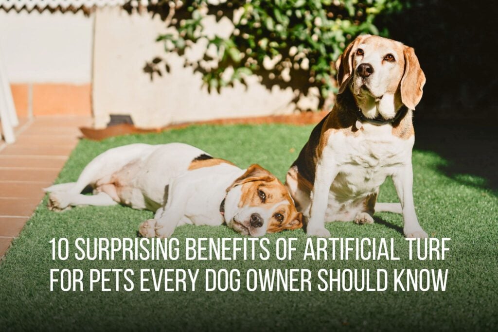 10 Surprising Benefits of Artificial Turf for Pets Every Dog Owner Should Know