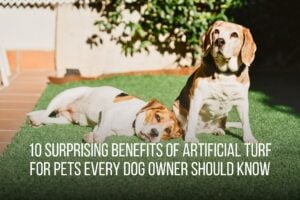 10 Surprising Benefits of Artificial Turf for Pets Every Dog Owner Should Know