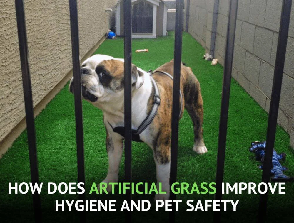 How-Does-Artificial-Grass-Improve-Hygiene-and-Pet-Safety-sunburst-2